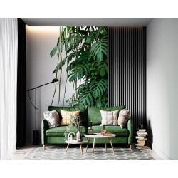 Liście Monstera na białym tle