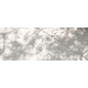 400 X 150 cm - Cień drzewa na ścianie