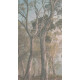 185 X 340cm - Mglisty Las Eukaliptusowy