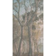 185 X 340cm - Mglisty Las Eukaliptusowy
