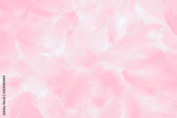 Beautiful abstract colorful white and pink feathers on white