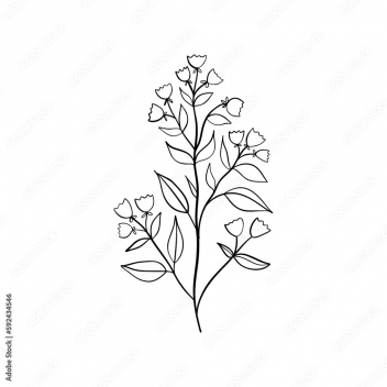 Bell-flowers campanula - hand drawn blue bell Vector Image