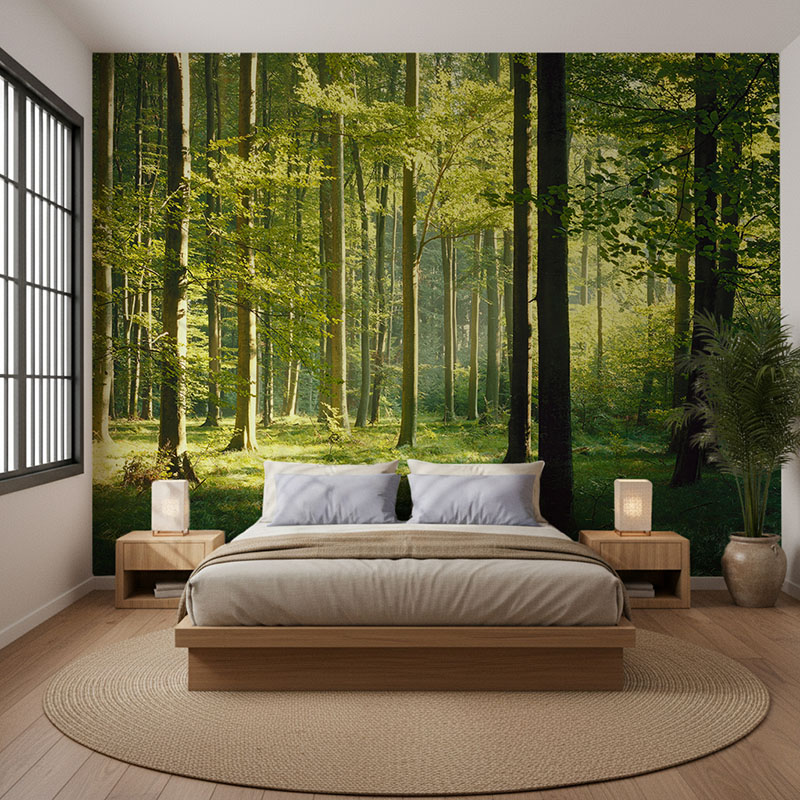 Fototapeta Bukowy las