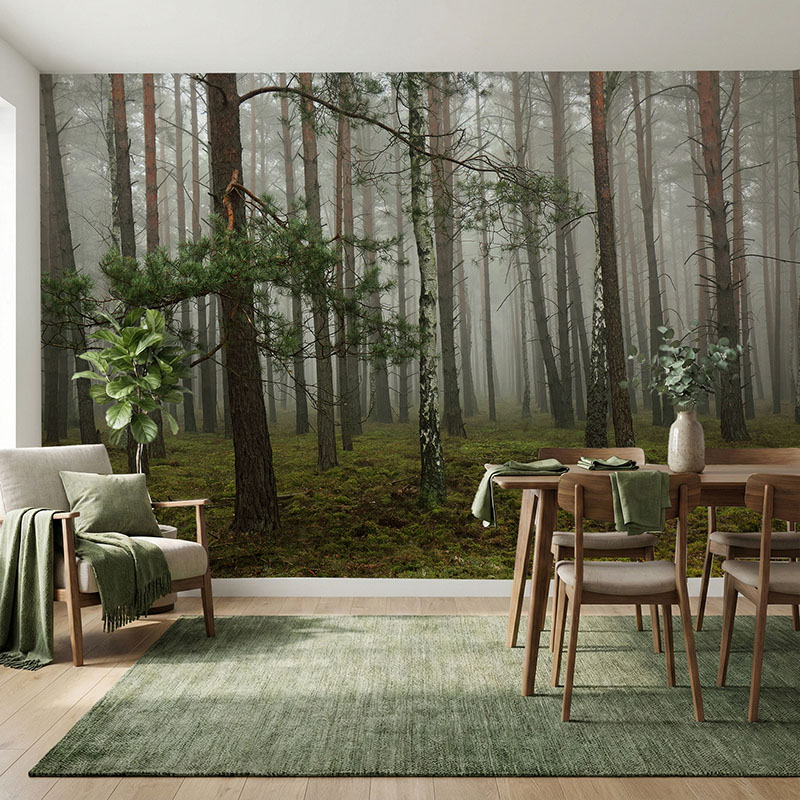 Fototapeta Mglisty las sosnowy