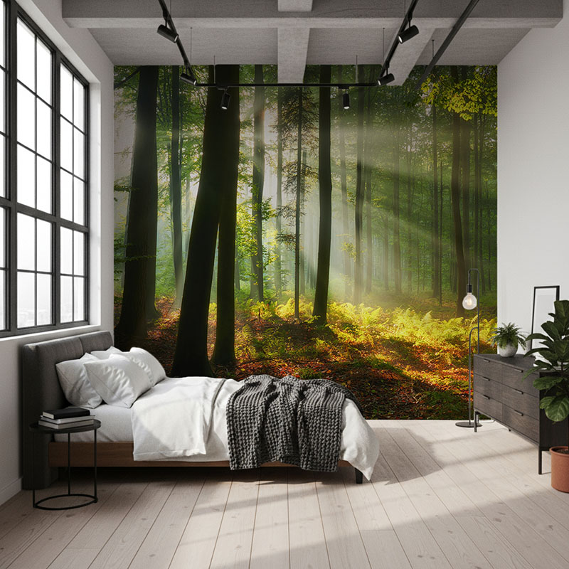 Fototapeta Piękny poranek w lesie