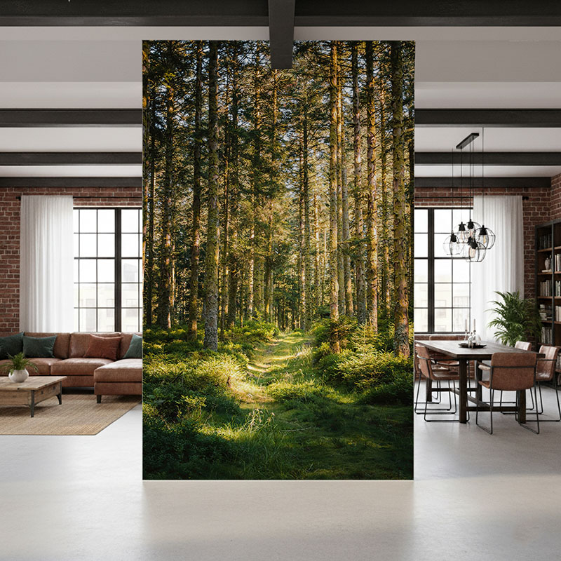 Fototapeta Sosnowy las