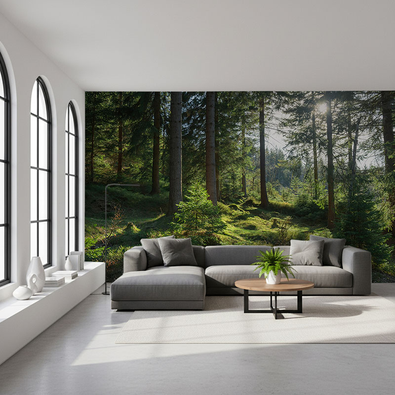 Fototapeta Zachodzące słońce w świerkowym lesie