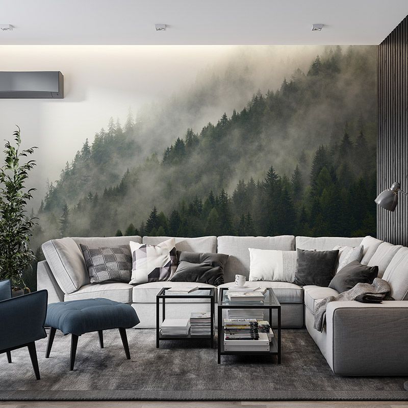 Fototapeta las na wzgórzu we mgle