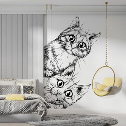 Fototapety Koty