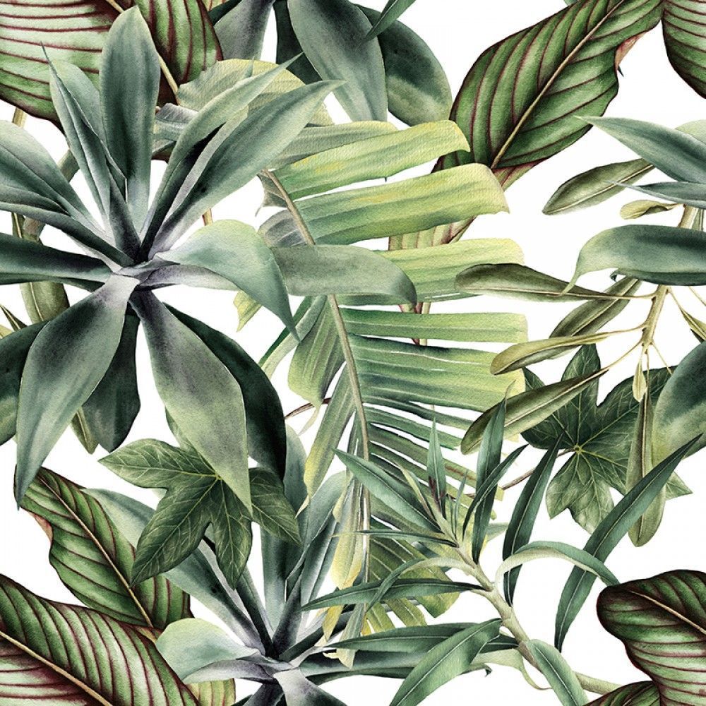  Tropikalne liście na białym tle, wzór