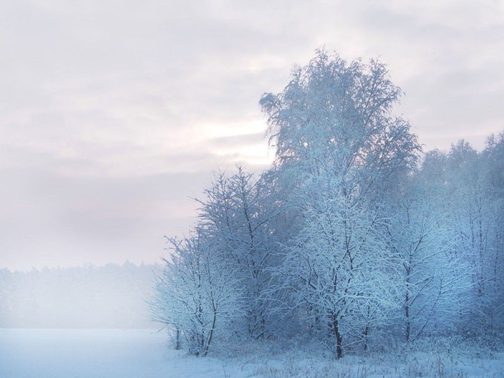 Fototapeta zimowy krajobraz