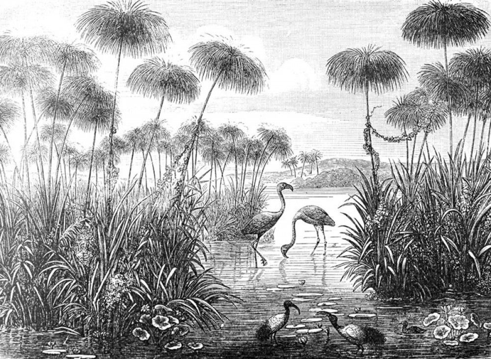 Naklejka na meble flamingi nad wodą