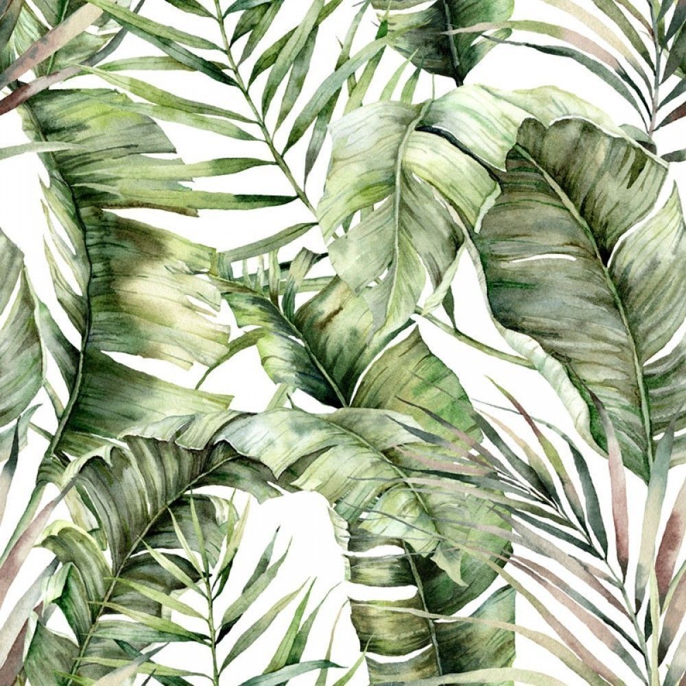 Naklejka na meble Egzotyczne liście i gałęzie na białym tle - wzór