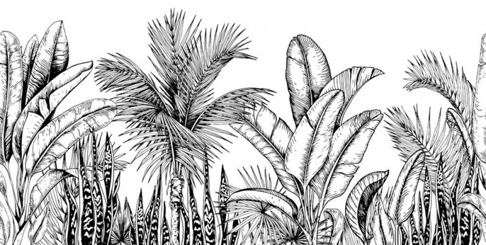 Fototapeta rysowane czarne tropikalne liście na białym tle