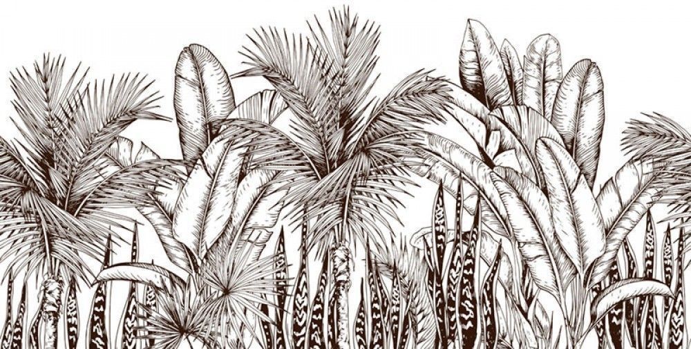 Fototapeta Ręcznie rysowane tropikalne liście