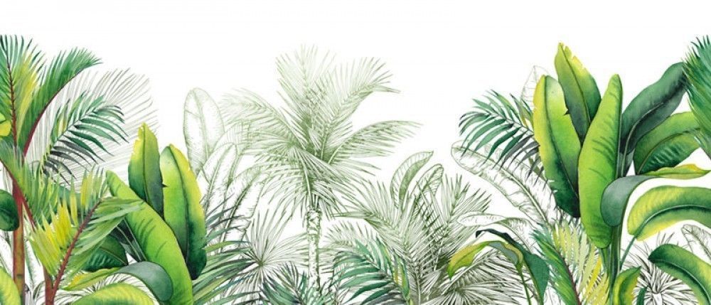 Fototapeta Zielone tropikalne liście na białym tle