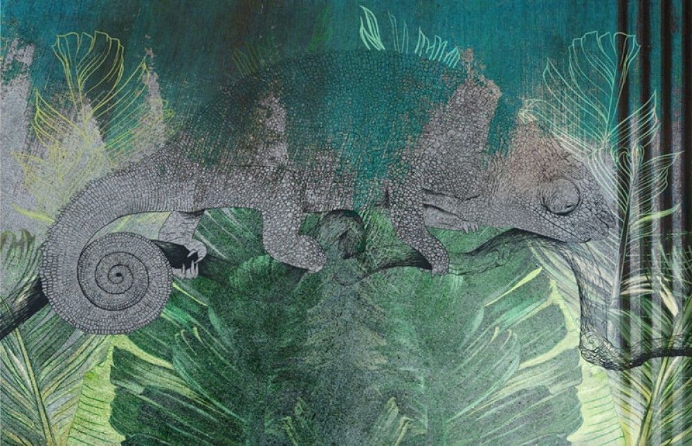 Fototapeta Tropikalne liście i kameleon na betonowej ścianie