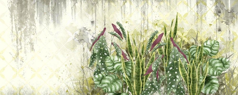 Fototapeta Tropikalne liście na odrapanej jasnożółtej ścianie