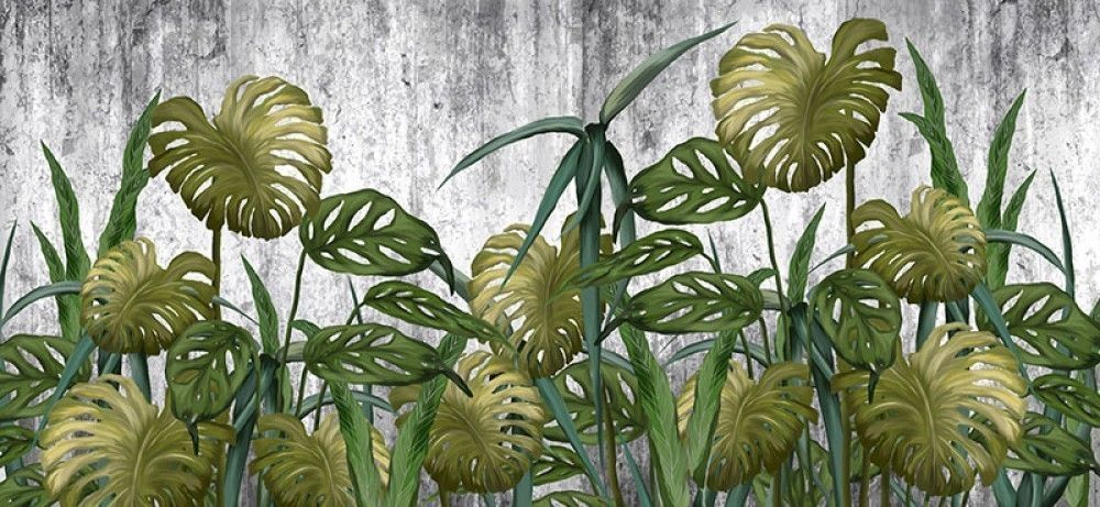 Fototapeta Zielone tropikalne liście na betonowej ścianie