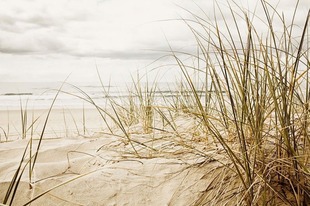 Naklejka na meble Wysoka trawa na plaży