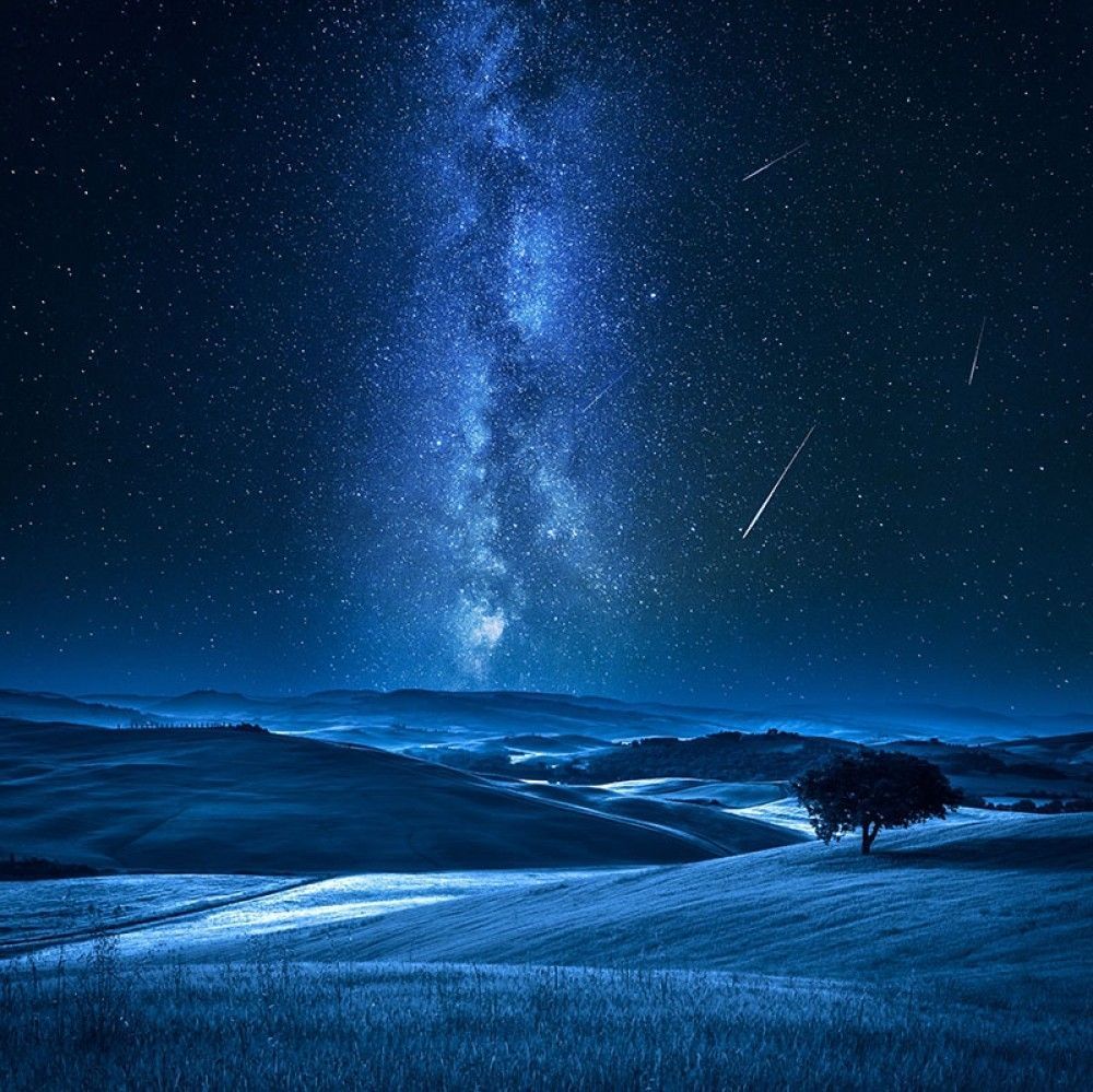 Fototapeta Drzewo na polu z drogą mleczną i spadającymi gwiazdami