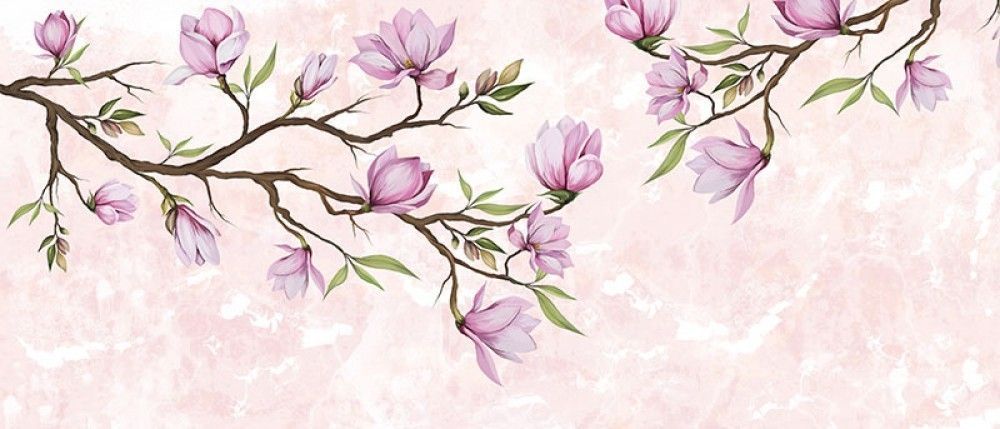  Gałązki z kwitnącymi kwiatami magnolii