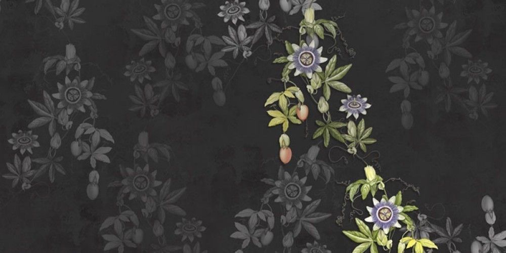Fototapeta Malowane kwiaty tropikalne na czarnej teksturowanej ścianie betonowej