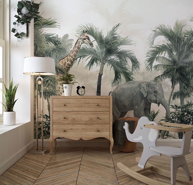 Safari