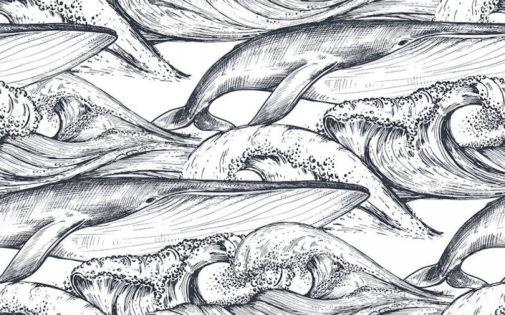 Fototapeta Wieloryby w oceanie szkic