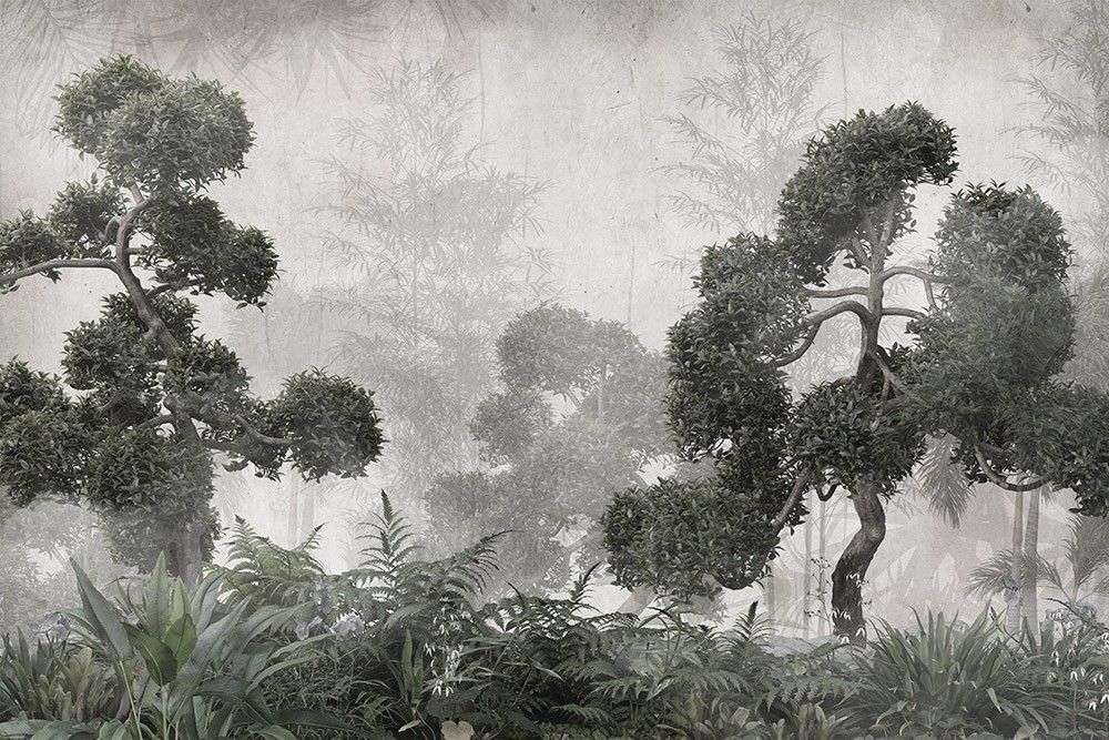 Fototapeta Tropikalne drzewa