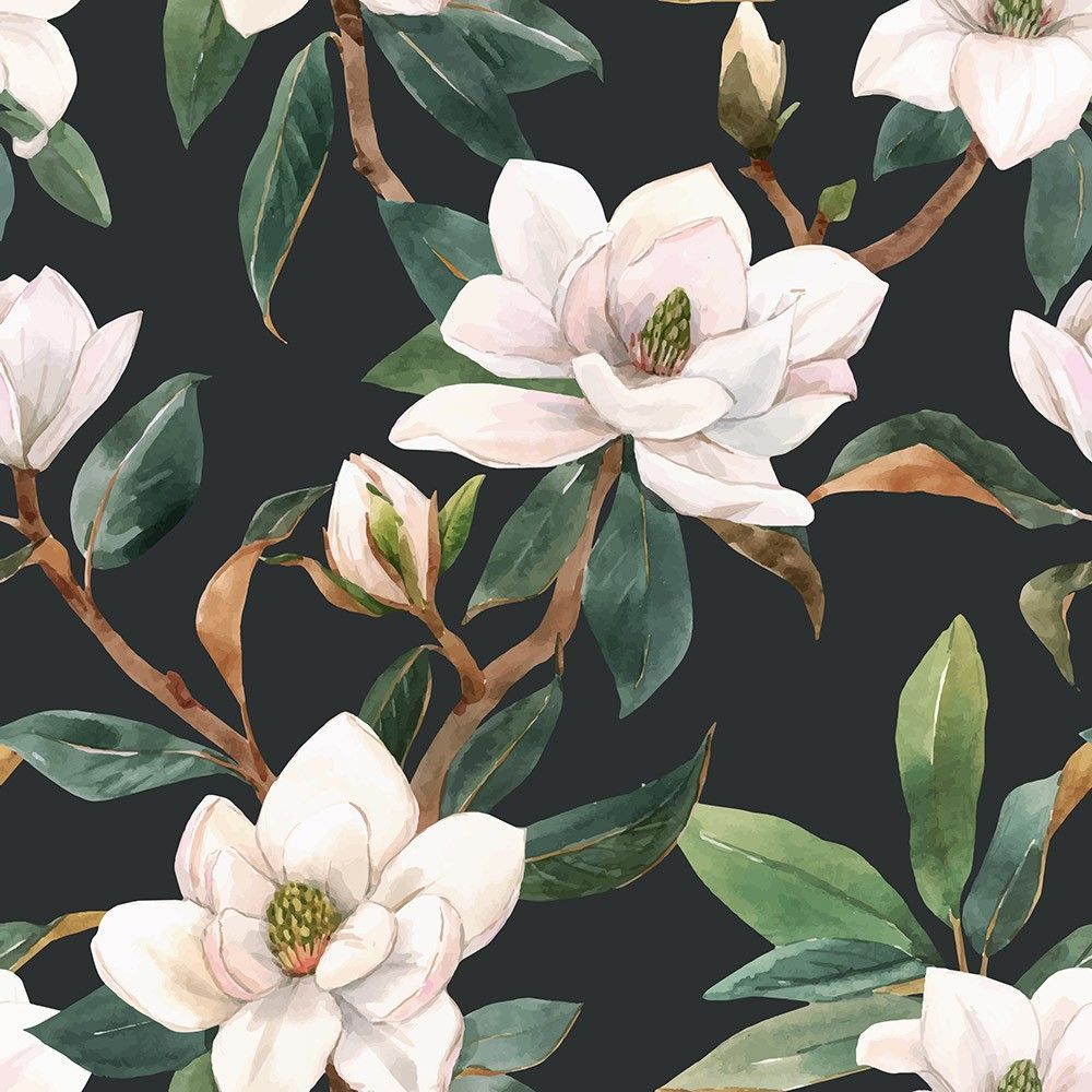  Białe kwiaty magnolii na ciemnym tle