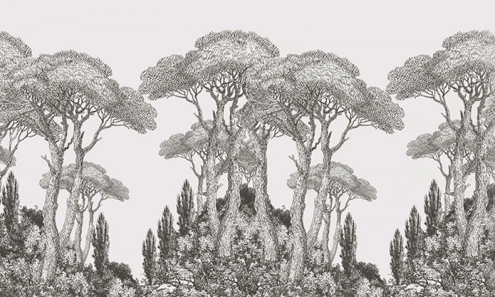 Fototapeta Drzewa w szarym lesie