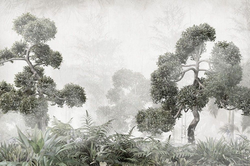 Fototapeta Tropikalne drzewa w mglistym lesie