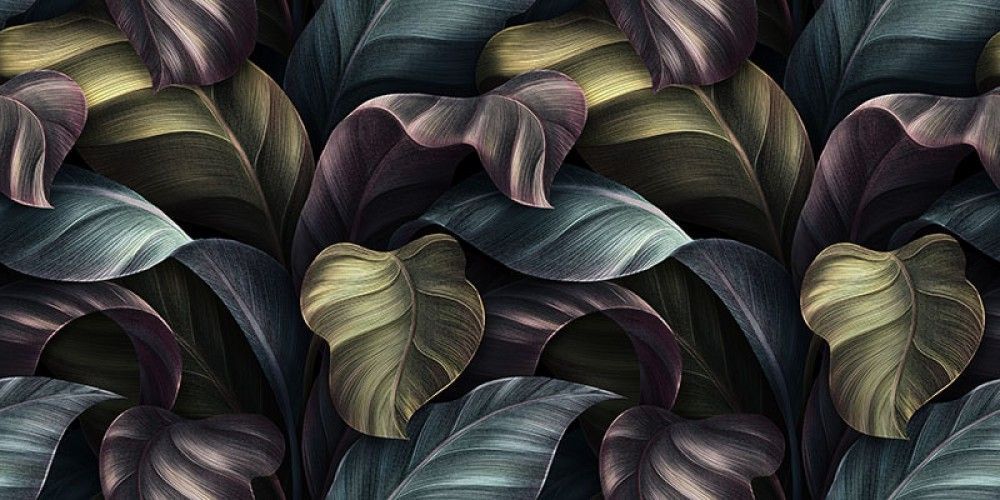 Fototapeta Ciemne tropikalne liście, wzór