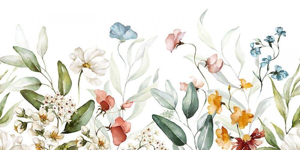 Fototapeta Liście i kwiaty na białym tle