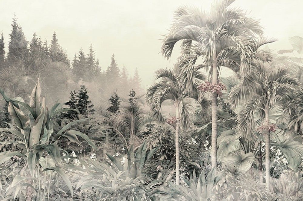  Tropikalne drzewa i liście w mglistym lesie