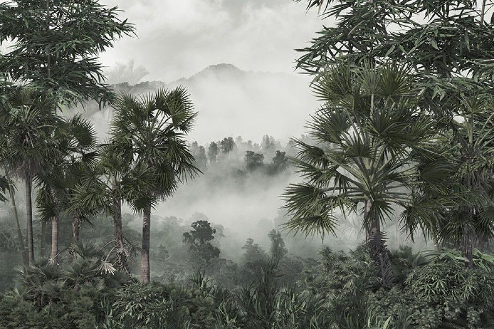 Tropikalny las