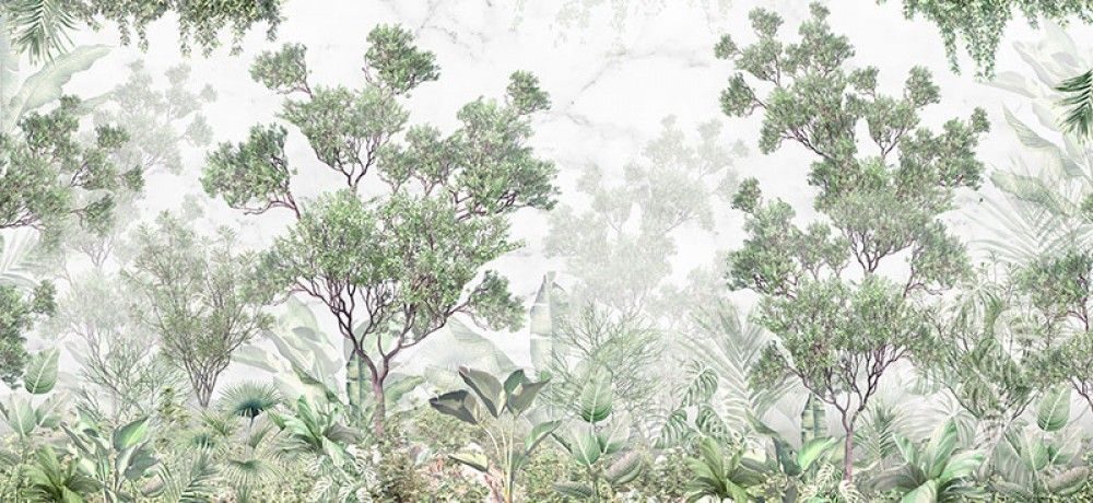 Fototapeta Tropikalne drzewa i liście
