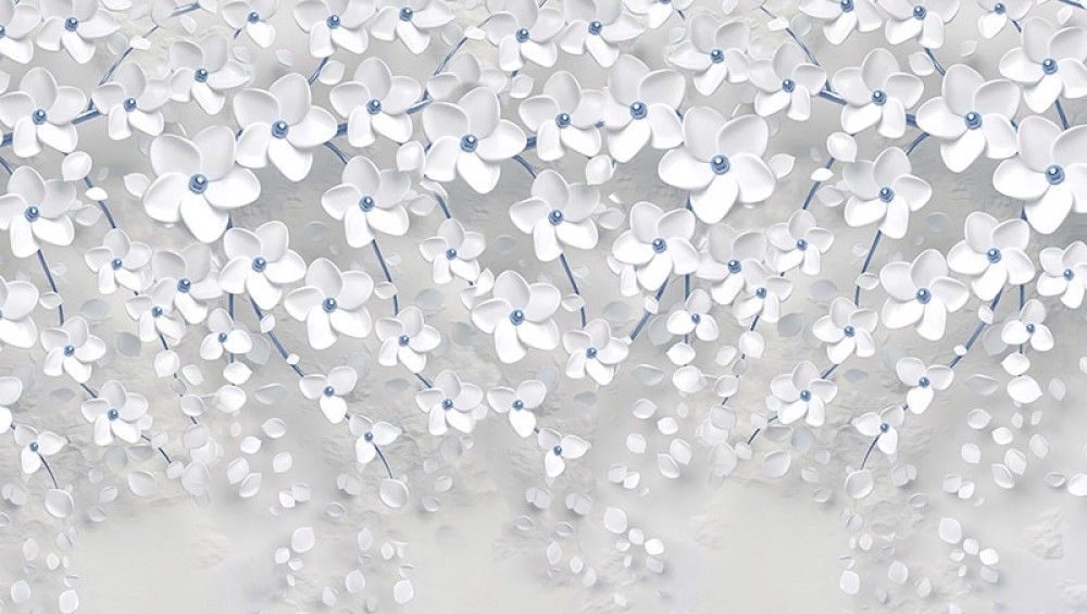 Fototapeta Białe kwiaty 3D