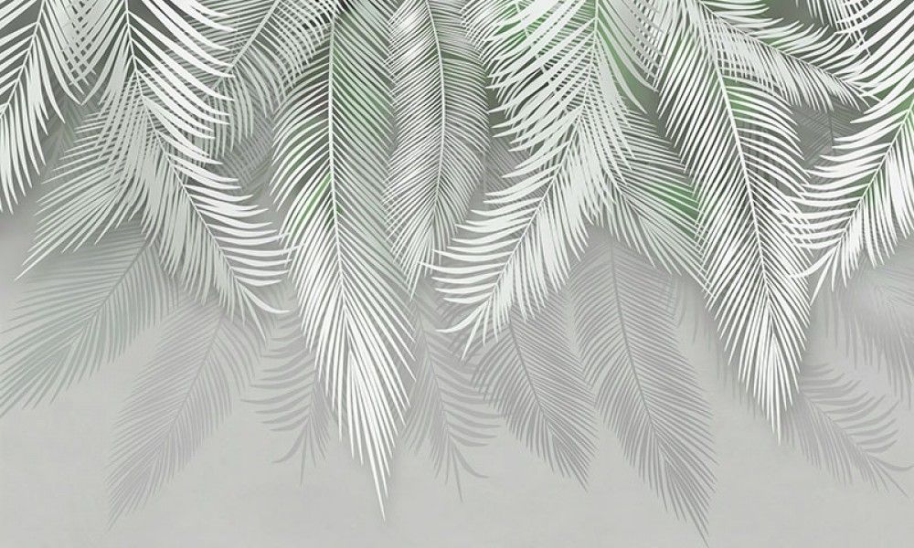 Fototapeta Egzotyczne liście palmy