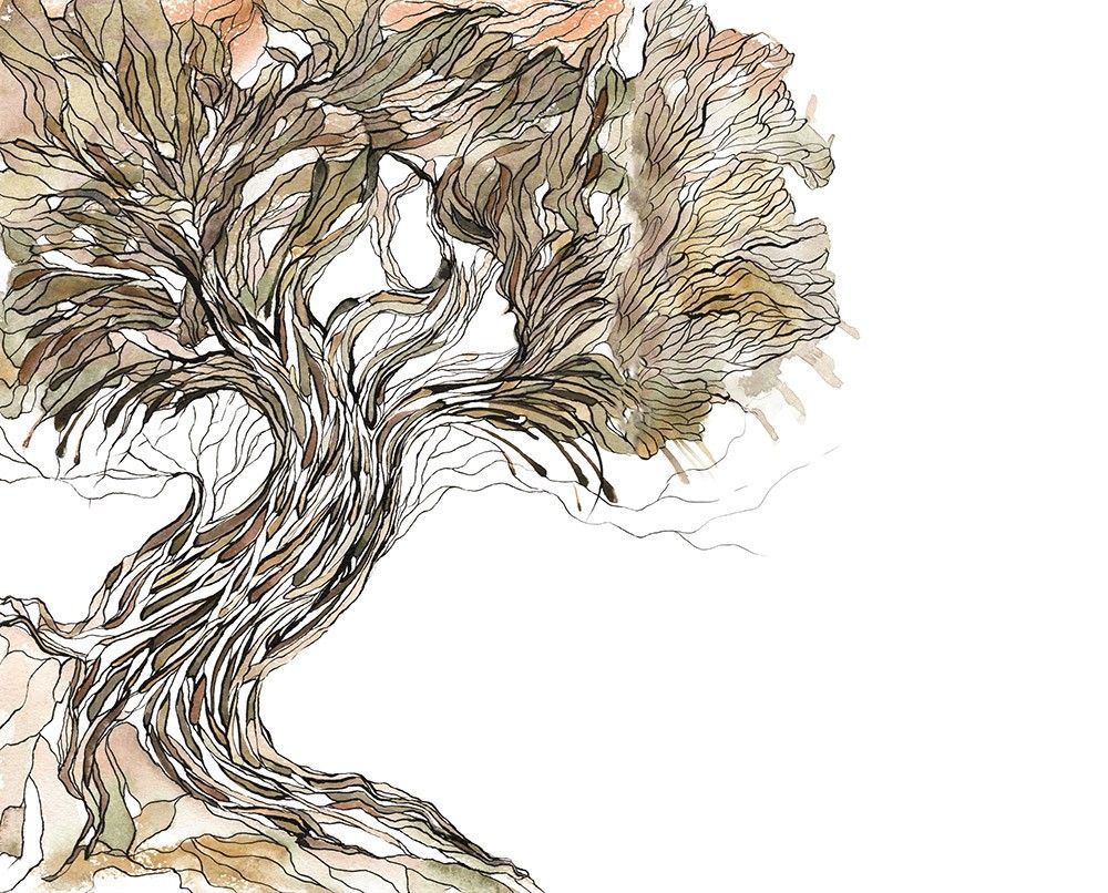 Naklejka na meble Stare Drzewo Ilustracja