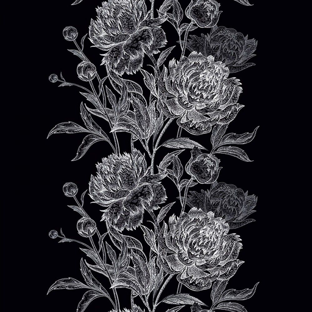 Fototapeta Białe kwiaty na czarnym tle
