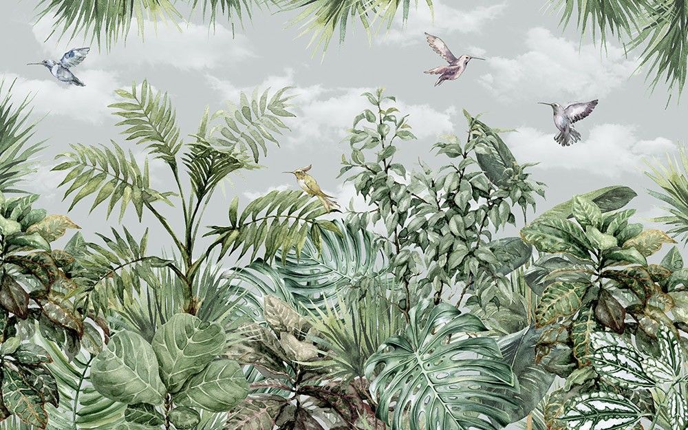 Fototapeta Kolorowe ptaki w dżungli
