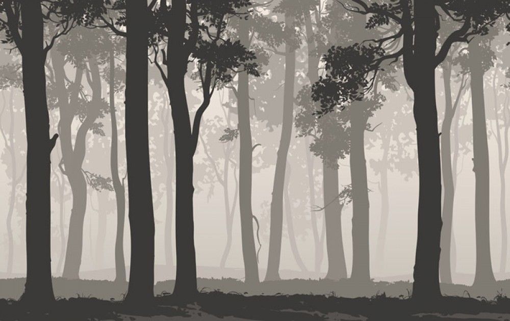 Fototapeta Las Liściasty 3D Ilustracja, wzór 