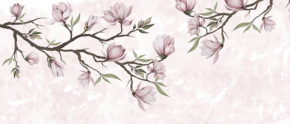 Fototapeta Gałązki z kwitnącymi kwiatami magnolii