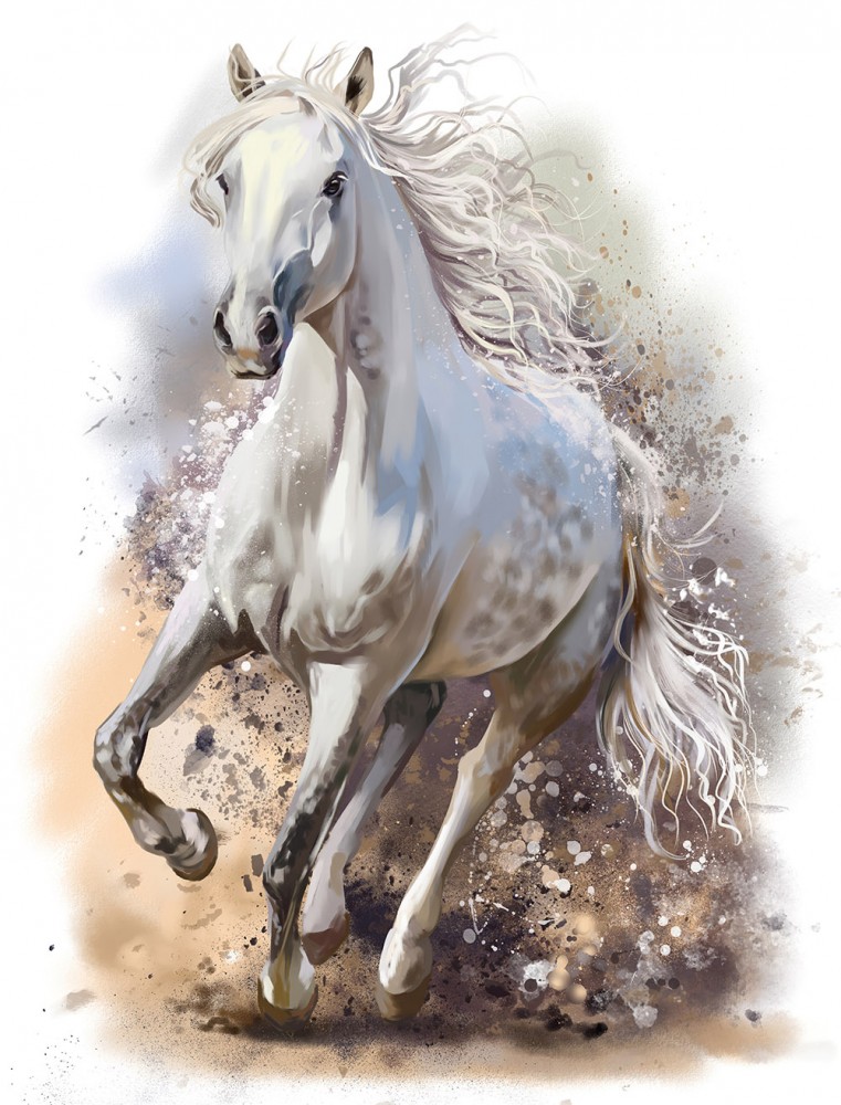 Naklejka na meble Biały koń w galopie