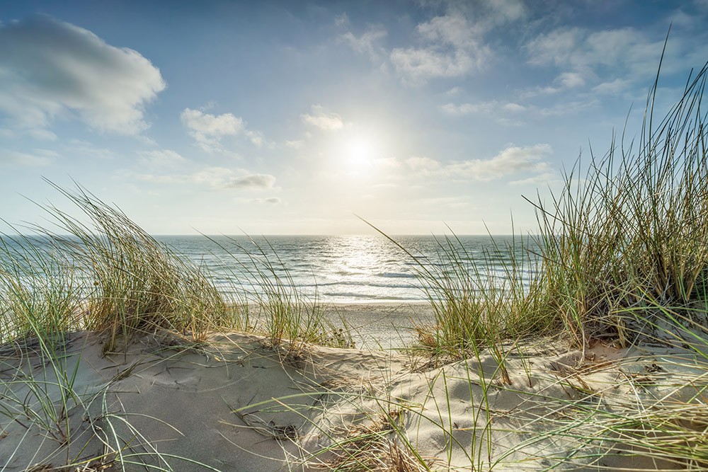 Naklejka na meble Słoneczna plaża