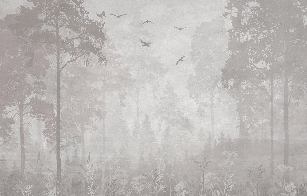 Fototapeta Poranny las