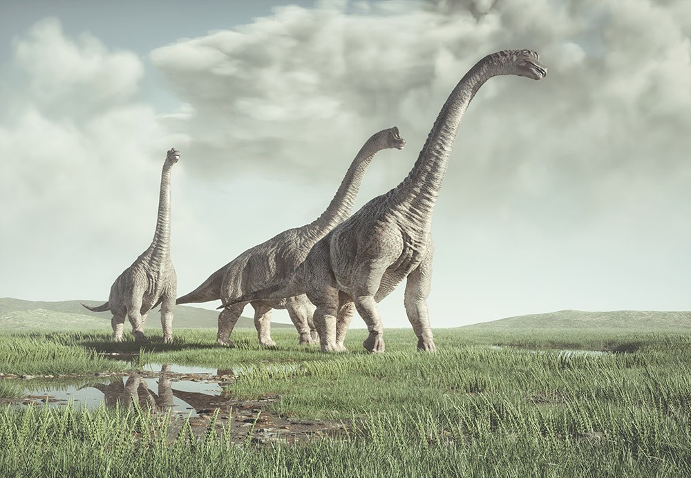 Fototapeta Prehistoryczne dinozaury