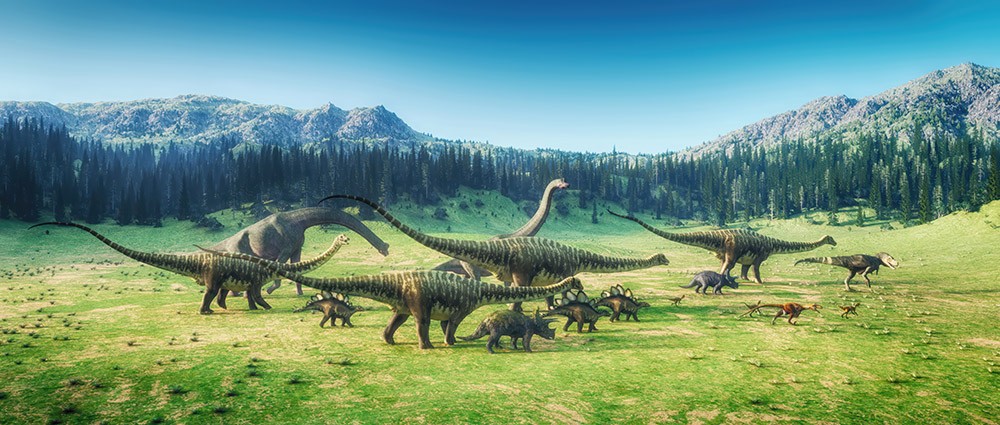  Jurajska Dolina Dinozaurów 